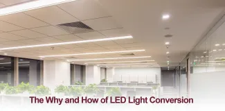 The Why and How of LED Light Conversion